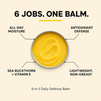 6 in 1 Daily Defence Balm